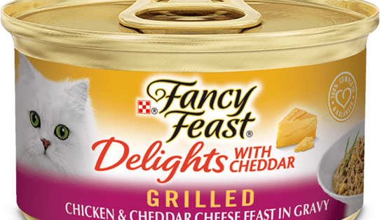 Fancy Feast Delights With Cheddar Grilled Chicken & Cheddar Cheese In Gravy